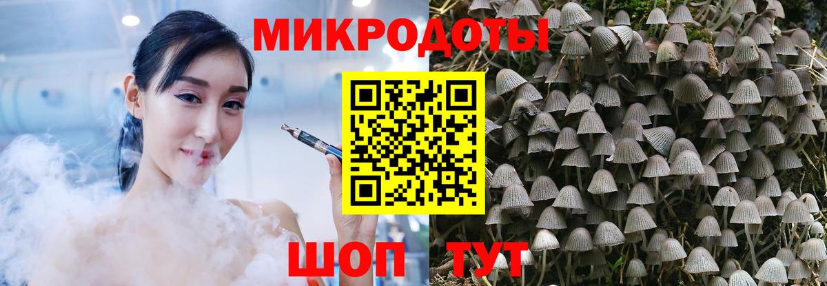 Томск  Псилоцибиновые грибы Magic Shrooms  Вход с VPN 