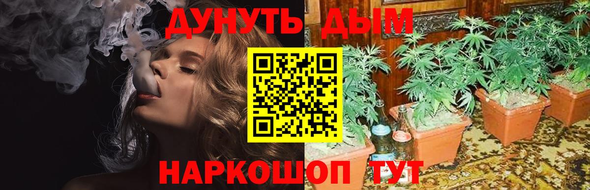 МАРИХУАНА ГИДРОПОН  Канабис план  Вход с VPN  Томск 