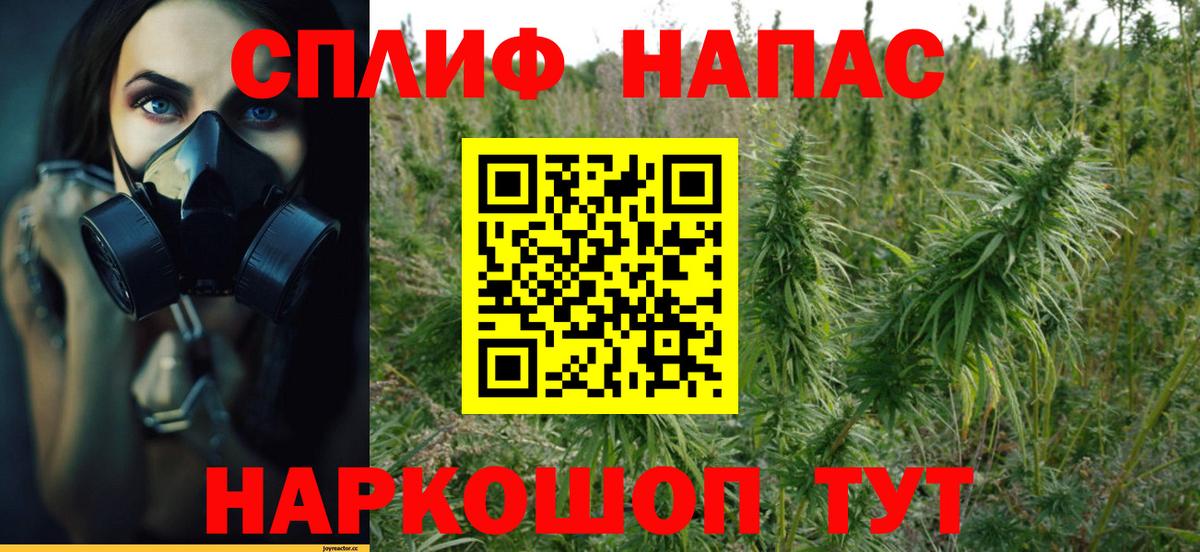 Бошки Шишки MAZAR Томск